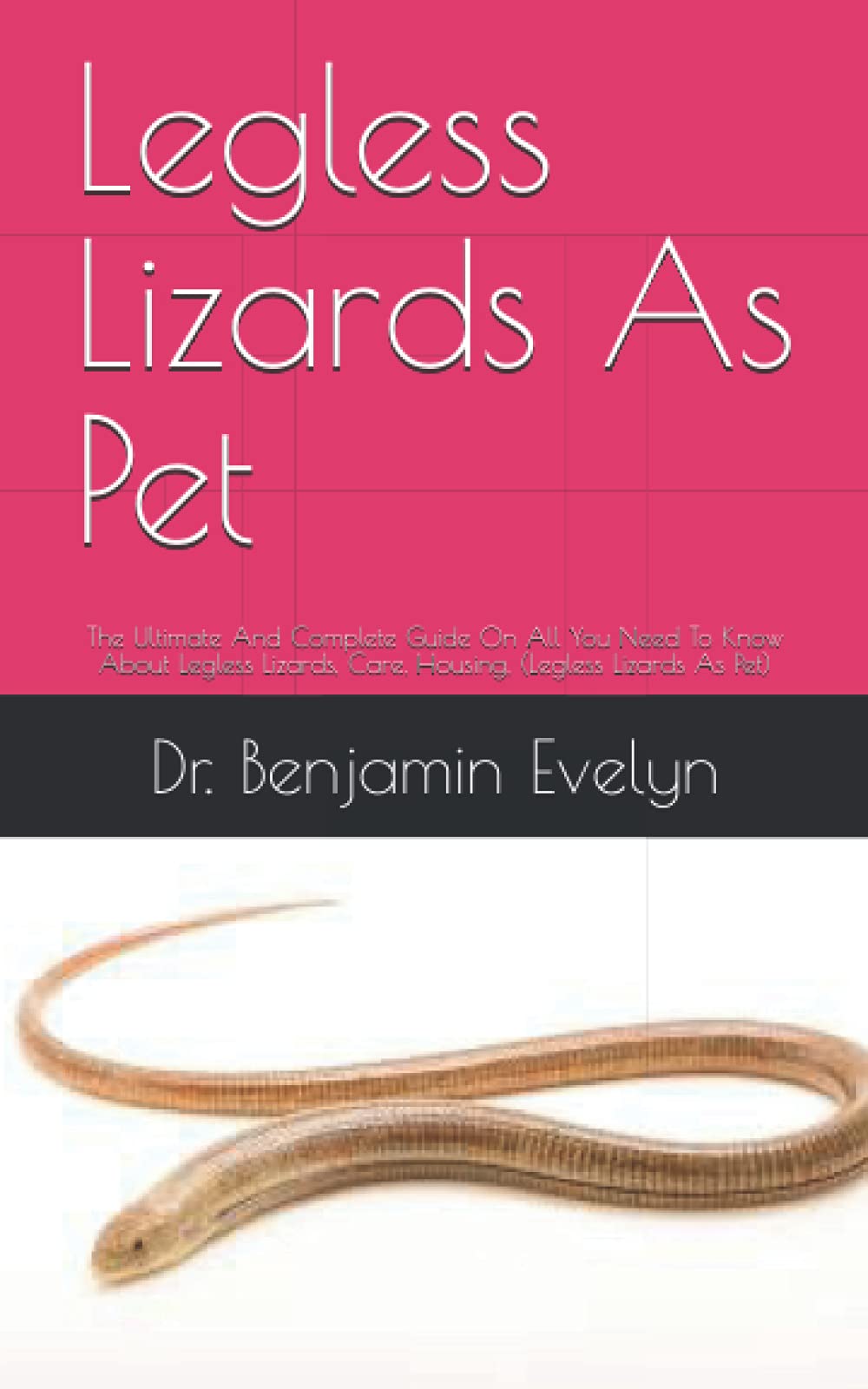 Buy Legless Lizards As Pet The Ultimate And Complete Guide On All You Need To Know About