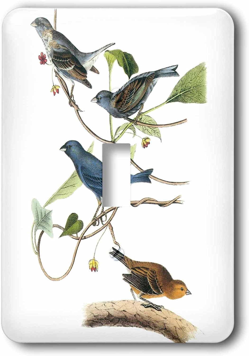 3D Rose lsp_179035_1 Pretty Blue Birds & Yellow Bird Vintage - single Toggle Switch