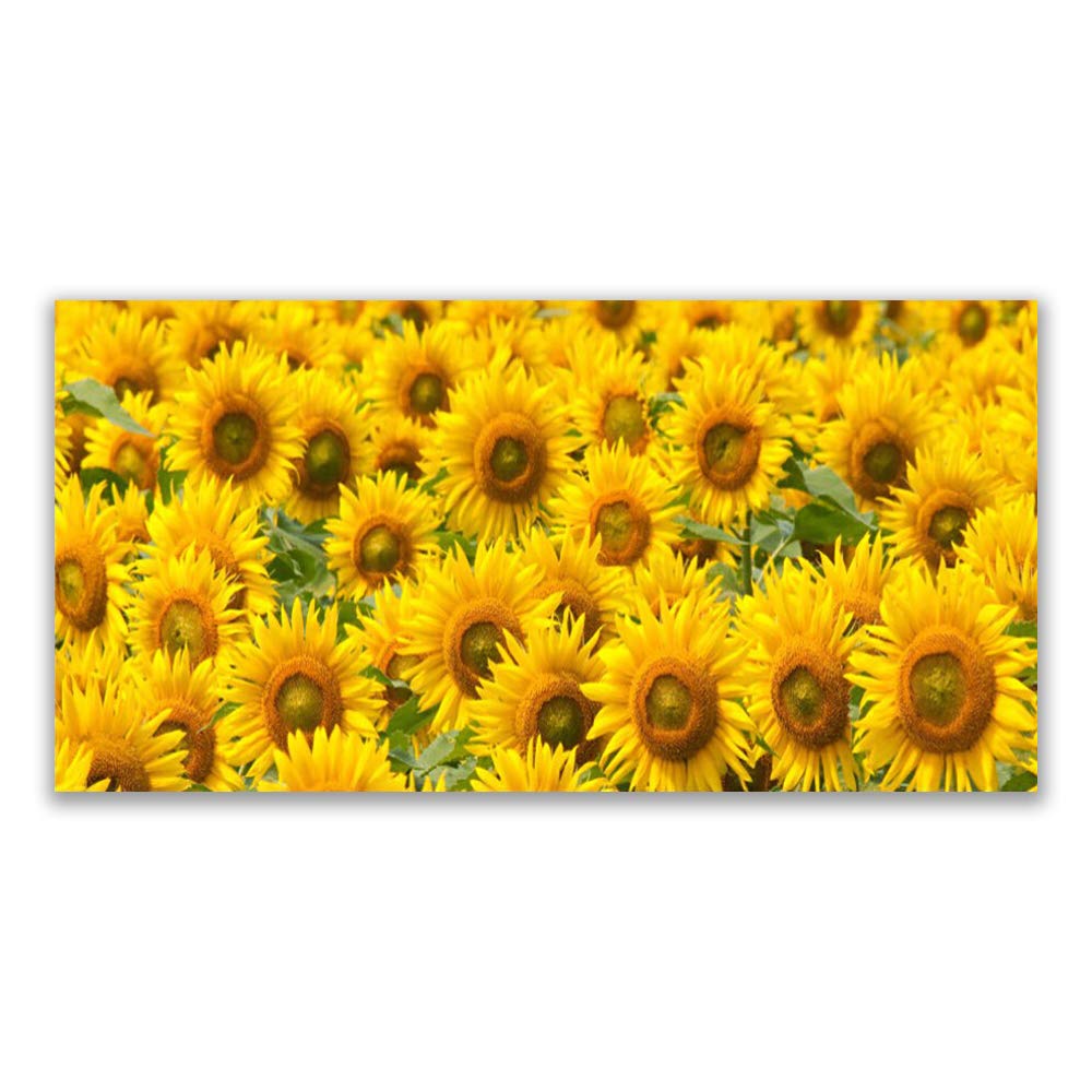 Toile imprimés tournesols pour sublimer la décoration de votre salon moderne