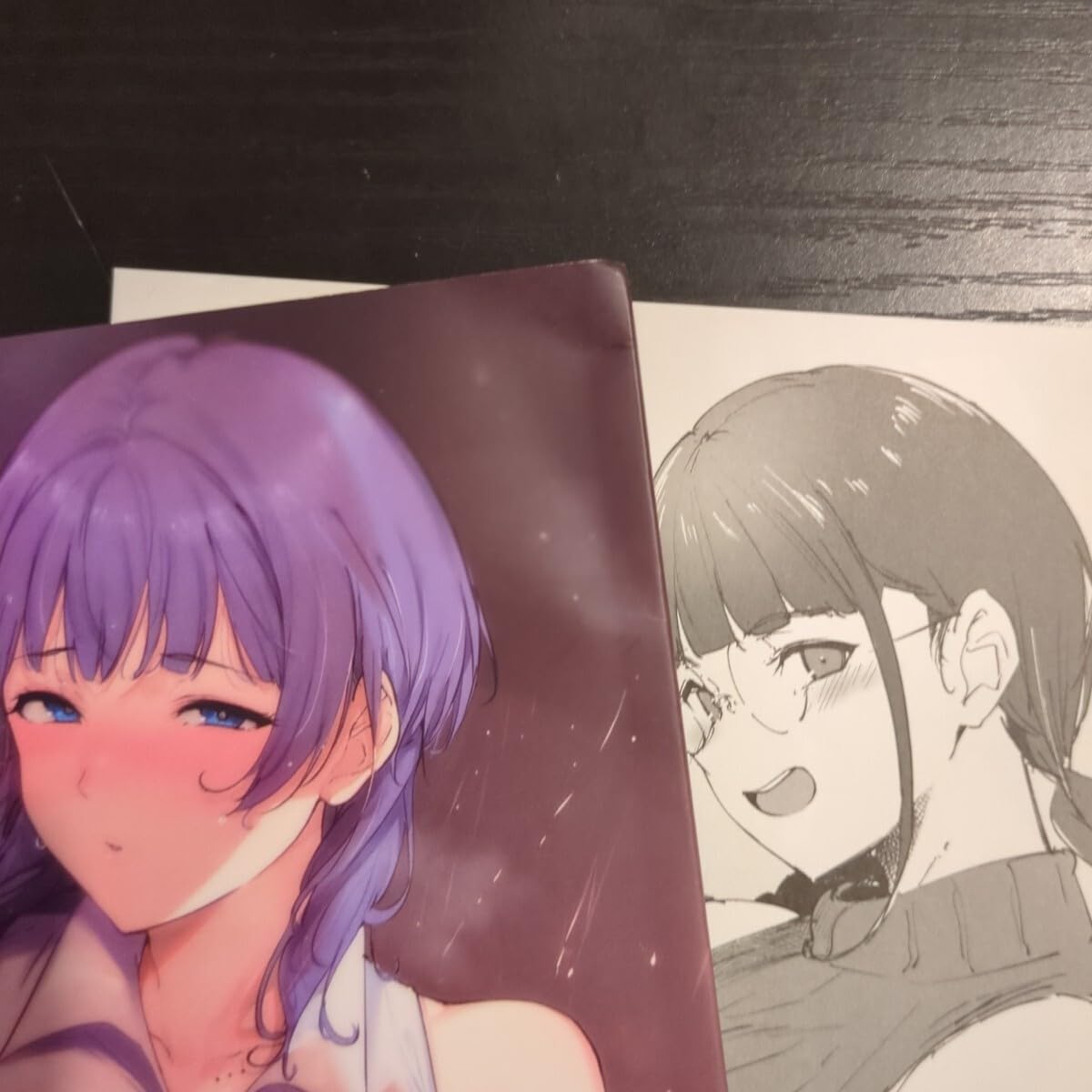 Amazon.co.jp: C104 リンゴヤ あるぷ 新刊セット 会場限定本 : おもちゃ