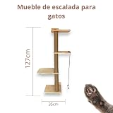 Ver la foto 5