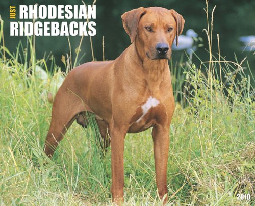 Just Rhodesian Ridgebacks 2010 Calendar: Willow Creek Press ...