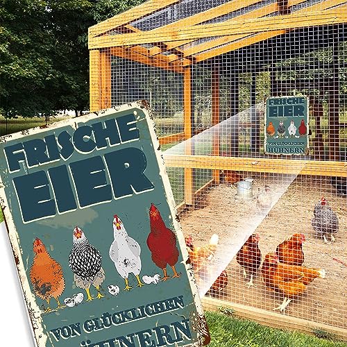 Hühnerstall Outdoor Blechschild-frische Eier glückliche Hühner Metallschild,Lustige Coop Metallschilder Vintage Schild Hühnerstall Zubehör Outdoor Deko(30x20cm)