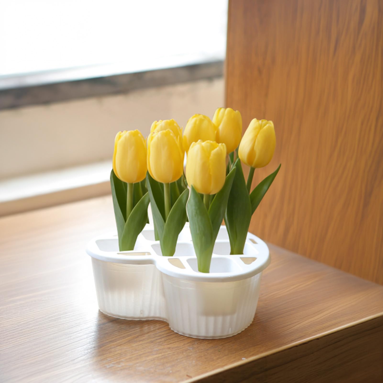 Pot de culture hydroponique pour tulipes : transformez votre salon en jardin fleuri
