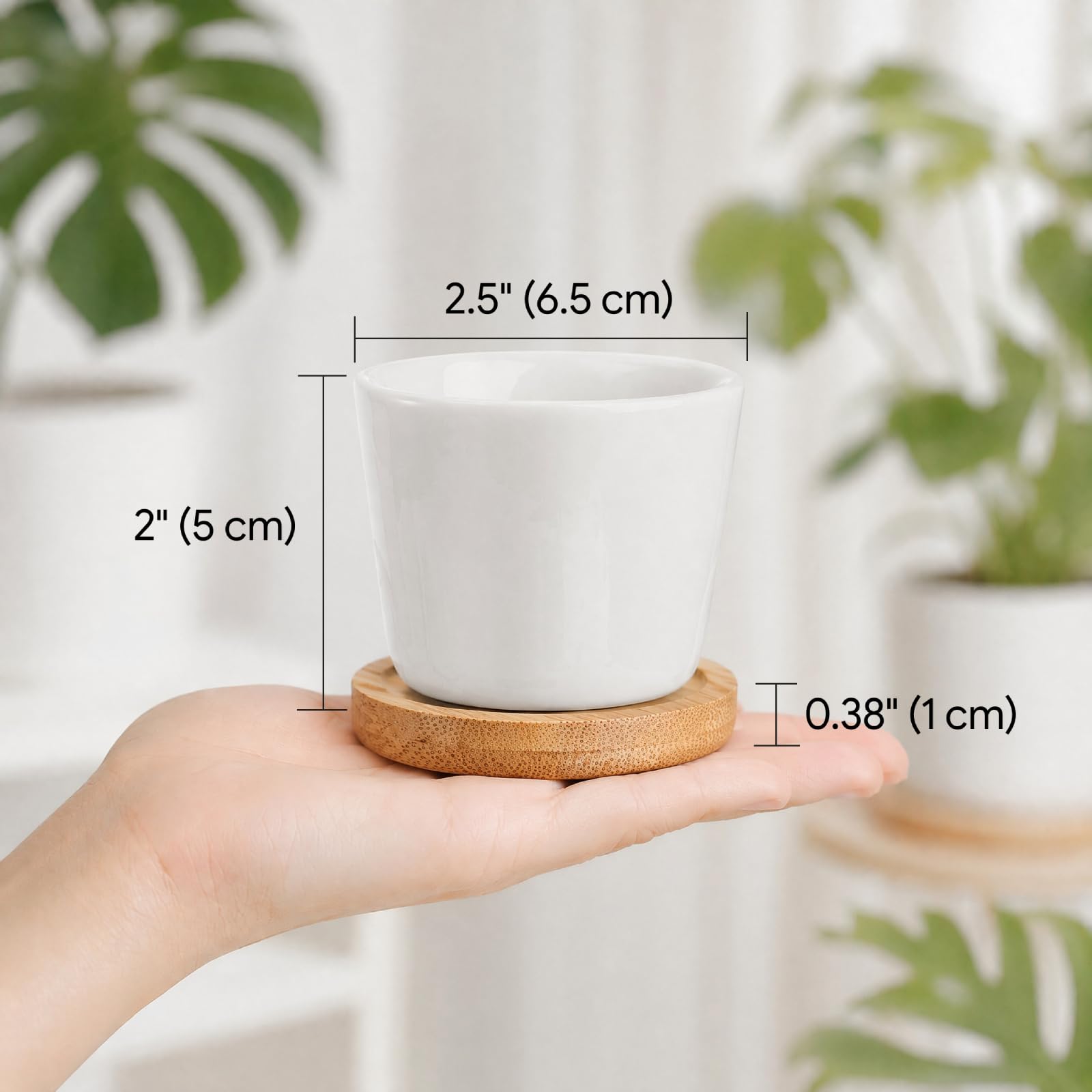 Tosnail Lot de 12 Petits Pots de 6,3 cm avec 12 Plateaux en Bambou