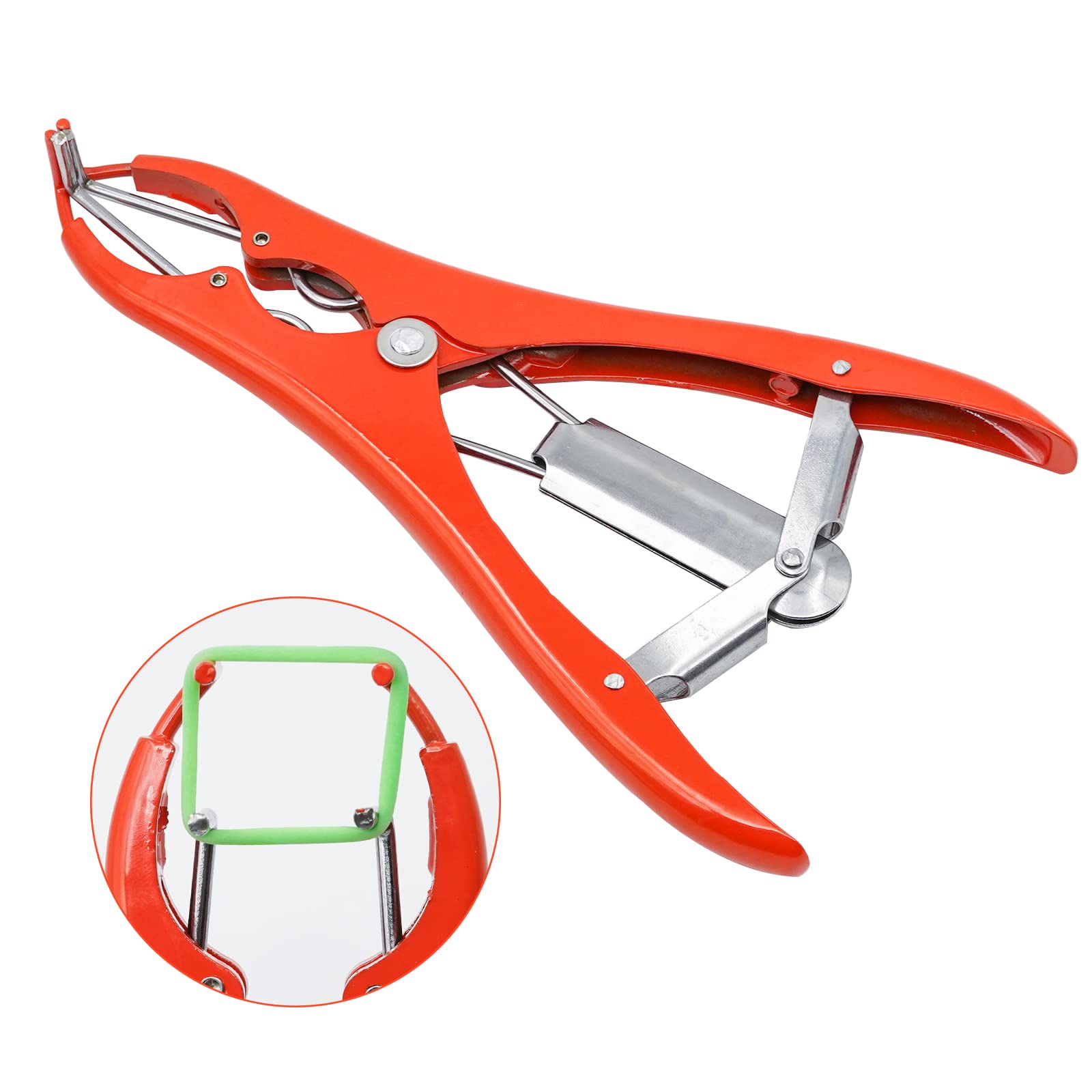 Pinza Per Castrazione Ovini, Dilatatore a Palloncino Pinza Per Castrazione In Acciaio Inox con 100 Anelli di Gomma Per Bovini, Ovini e Suini (Colori Casuali)