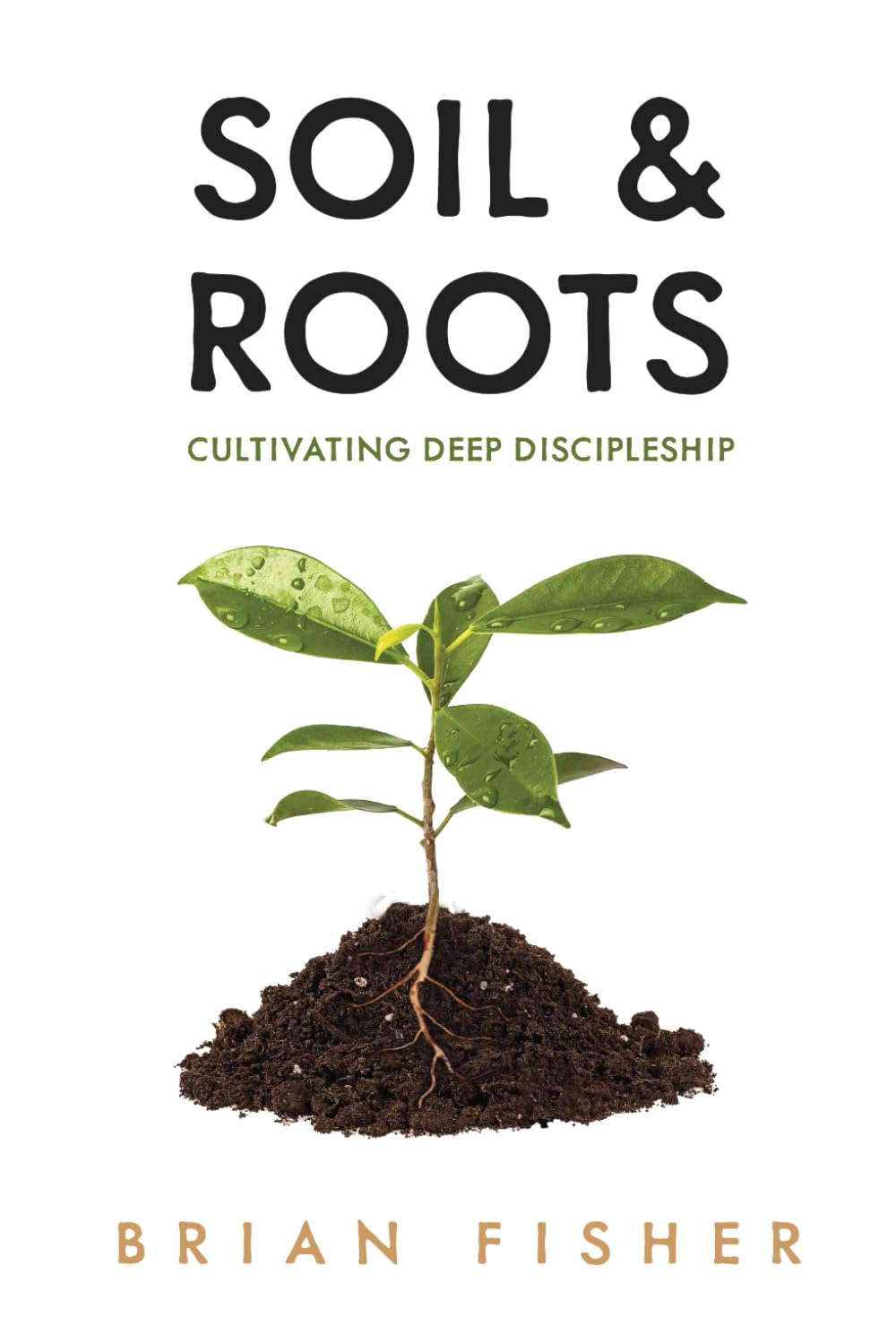 Soil & Roots: Cultivating Deep Discipleship