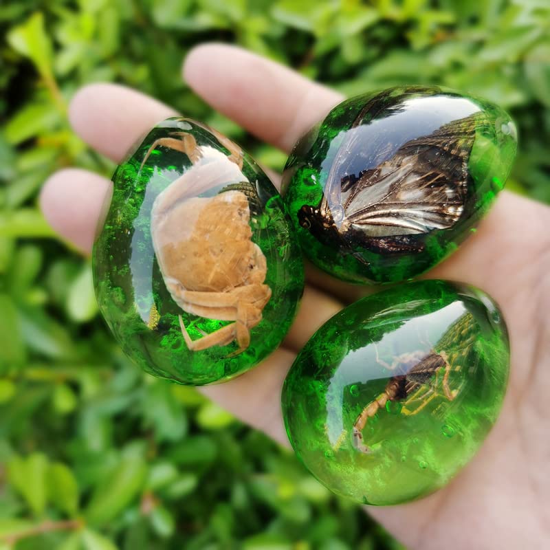 Image of Colourful Amber Fossil Insect Artificial Amber Insect Specimen Pendant Amber Stone Ornament for Collection,Science Education (12 PCS)