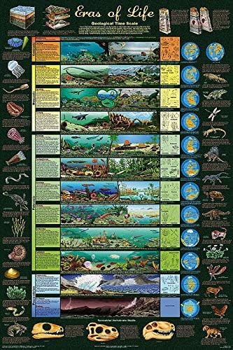 Bioprocess The Eras Of Life Laminated Educational Science Classroom Chart Poster Wall Art Decor Metal Sign Poster 8x12 inches