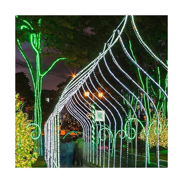 Wintergreen lighting led rope light, led flexible light rope string light outdoor – led light rope bedroom portable led light rope, 120v, ½ inch, 2-wire - image 7