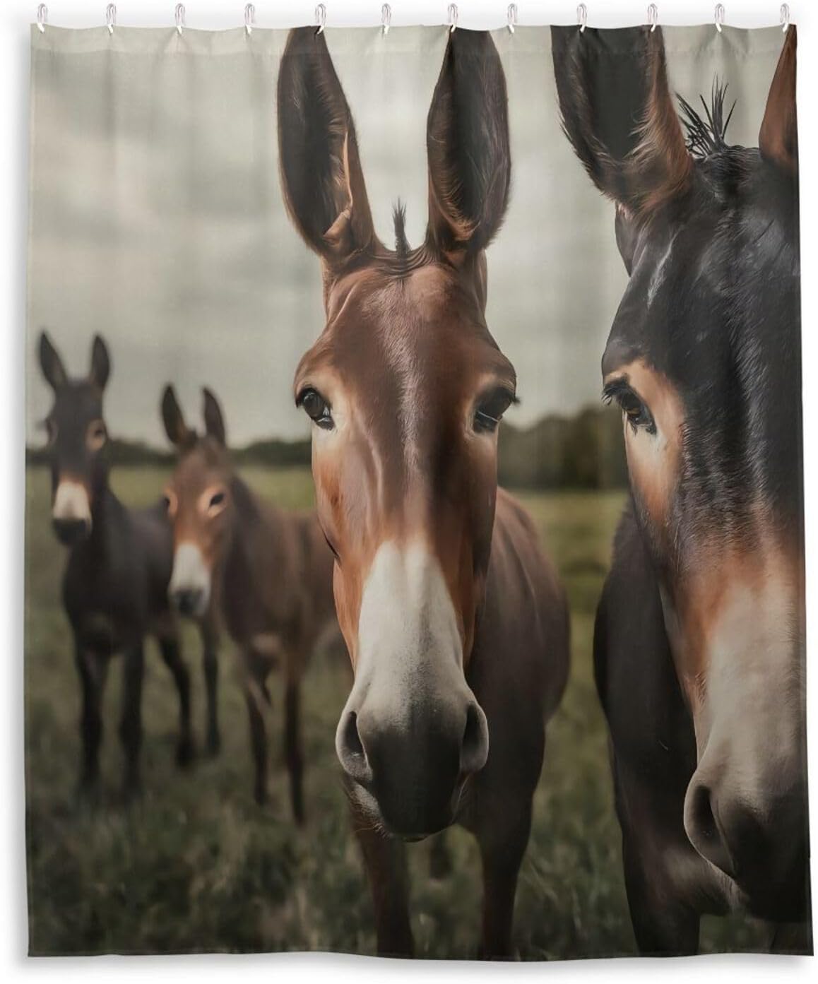 Pasture Mules Shower Curtain for Bathroom 60x72 Inch Waterproof Washable Fabric Bath Curtain with 12 Hooks for Home Hotel Gym