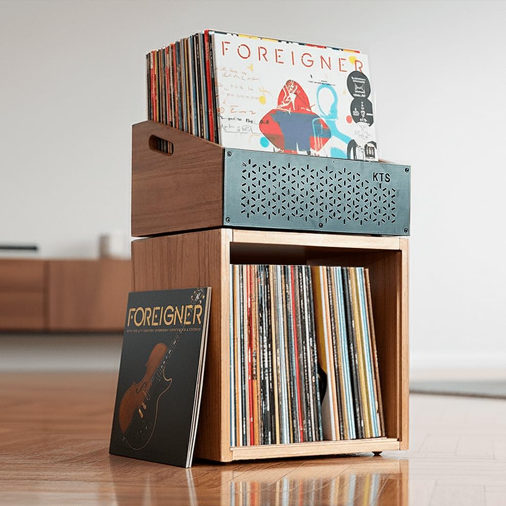 Meuble modulaire pour disques vinyles | Étagère pour 120 LPs | Rangement empilable et extensible | Support pour vinyles | Organisateur de vinyles | Meuble pour collection musicale