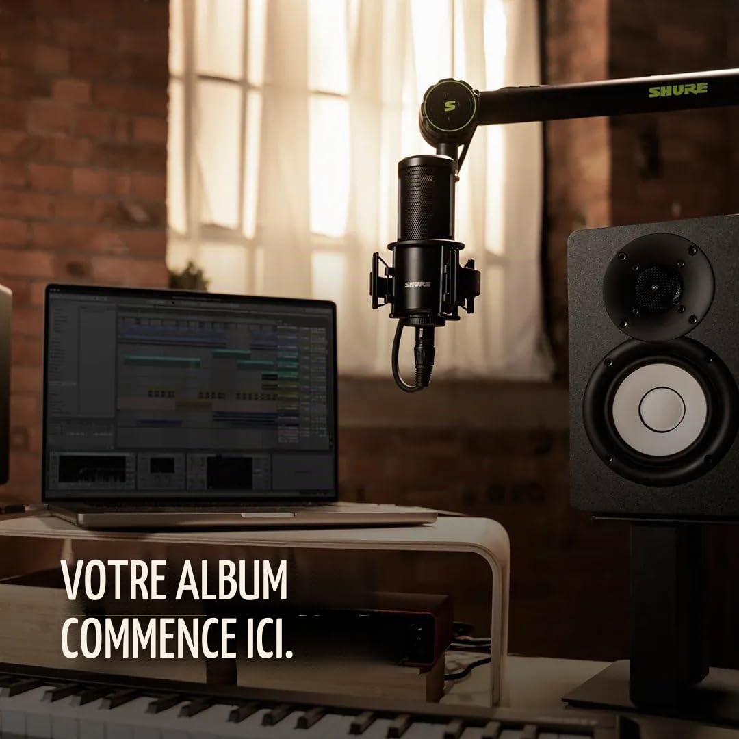 Shure SM4 Kit Microphone à Condensateur XLR de Studio pour Enregistrement