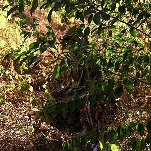 Tongcamo Hunting Ghillie Suit 3D Bionic Leafy Camouflage Clothing for Jungle Hunting, Wildlife Photography, Bird Watching，Halloween, Shooting - Thumbnail 7
