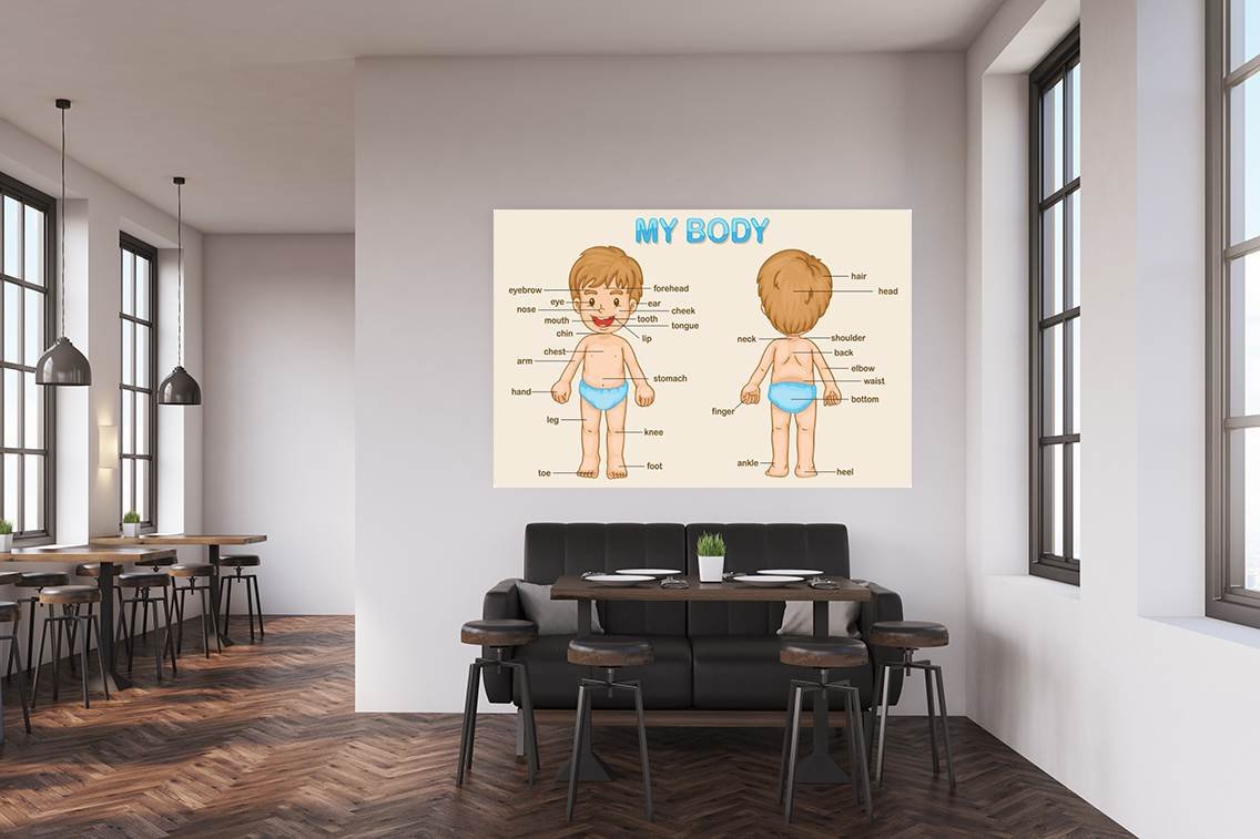 vinile decorativo parete educativo bambino | mi cuerpo | 155x155cm