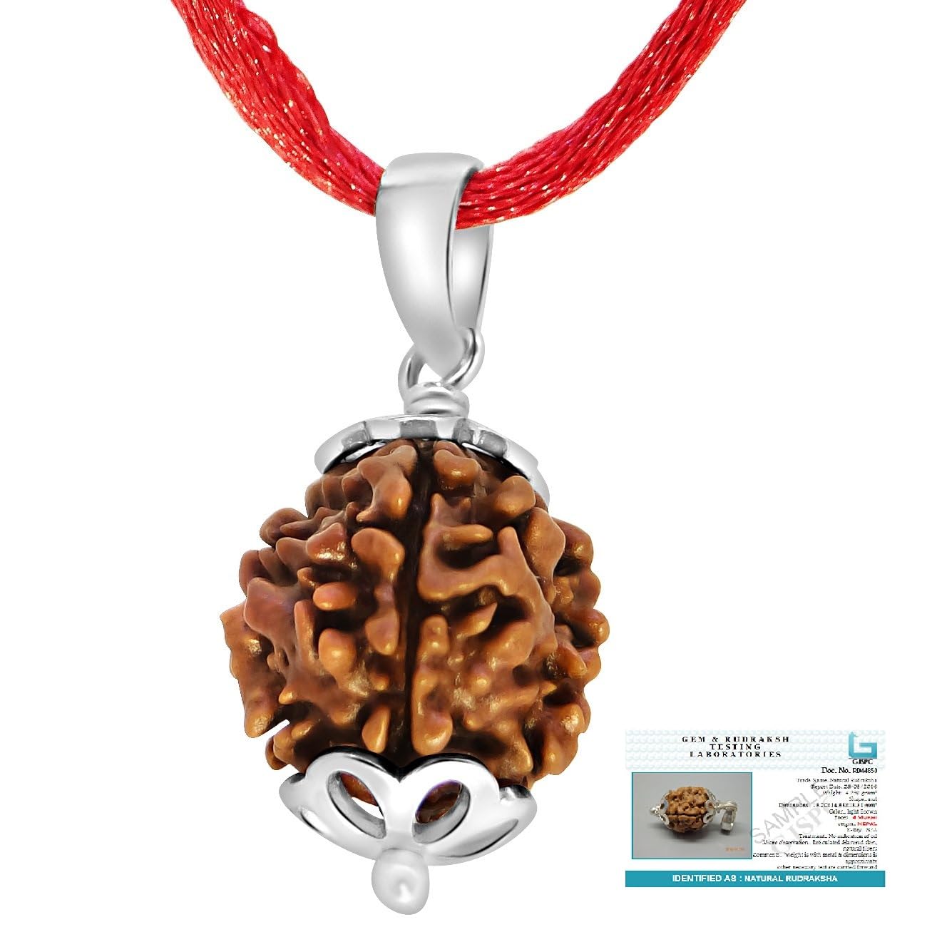 Arihant Gems and Jewels® 4 Mukhi Nepali Rudraksha with 925 silver Pendent | Natural & Certified | Astrological Benefits | Unisex | Positive Energy for Men & Women-image-4