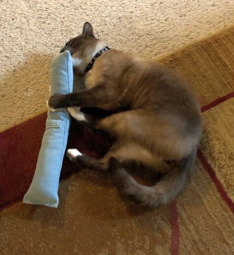 West Coast Pet Products 15