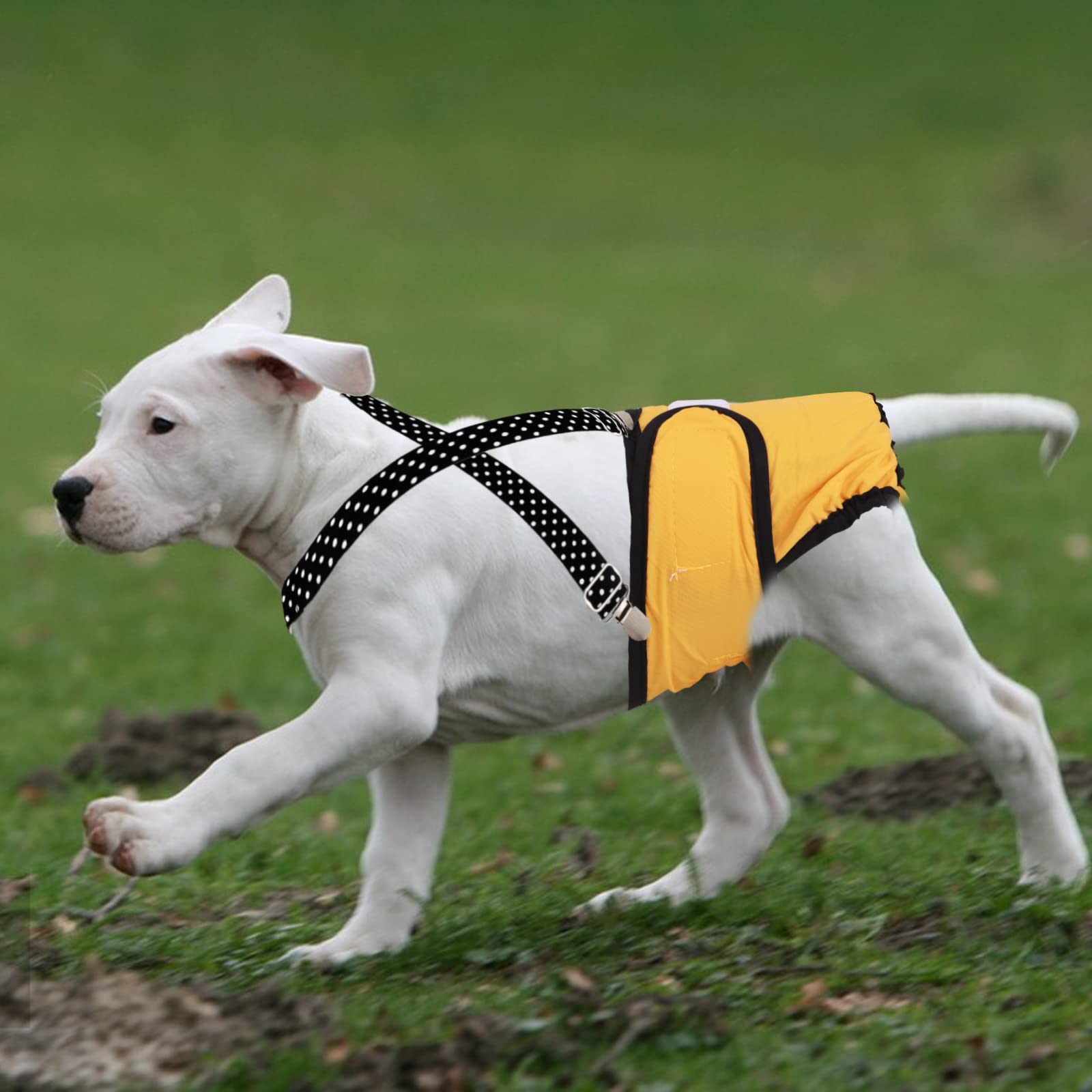 Mpets Luier - Training & Gedrag - 52x32 cm Zwart Wit Voor Teven L - Zindelijkheid - Pets Place