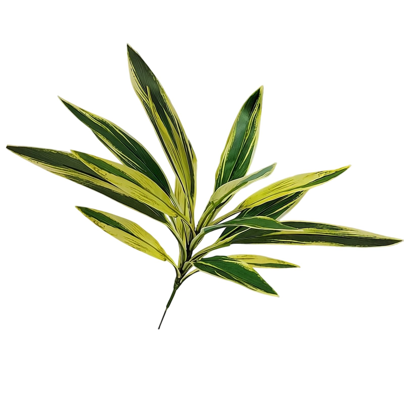 Zxfdsfdbnm Sturdy Artificial Brazilwood Dracaena Plant in Silk Printed Fabric Simple Decorative Foliage for Indoor Space Realistic Brazilwood Foliage