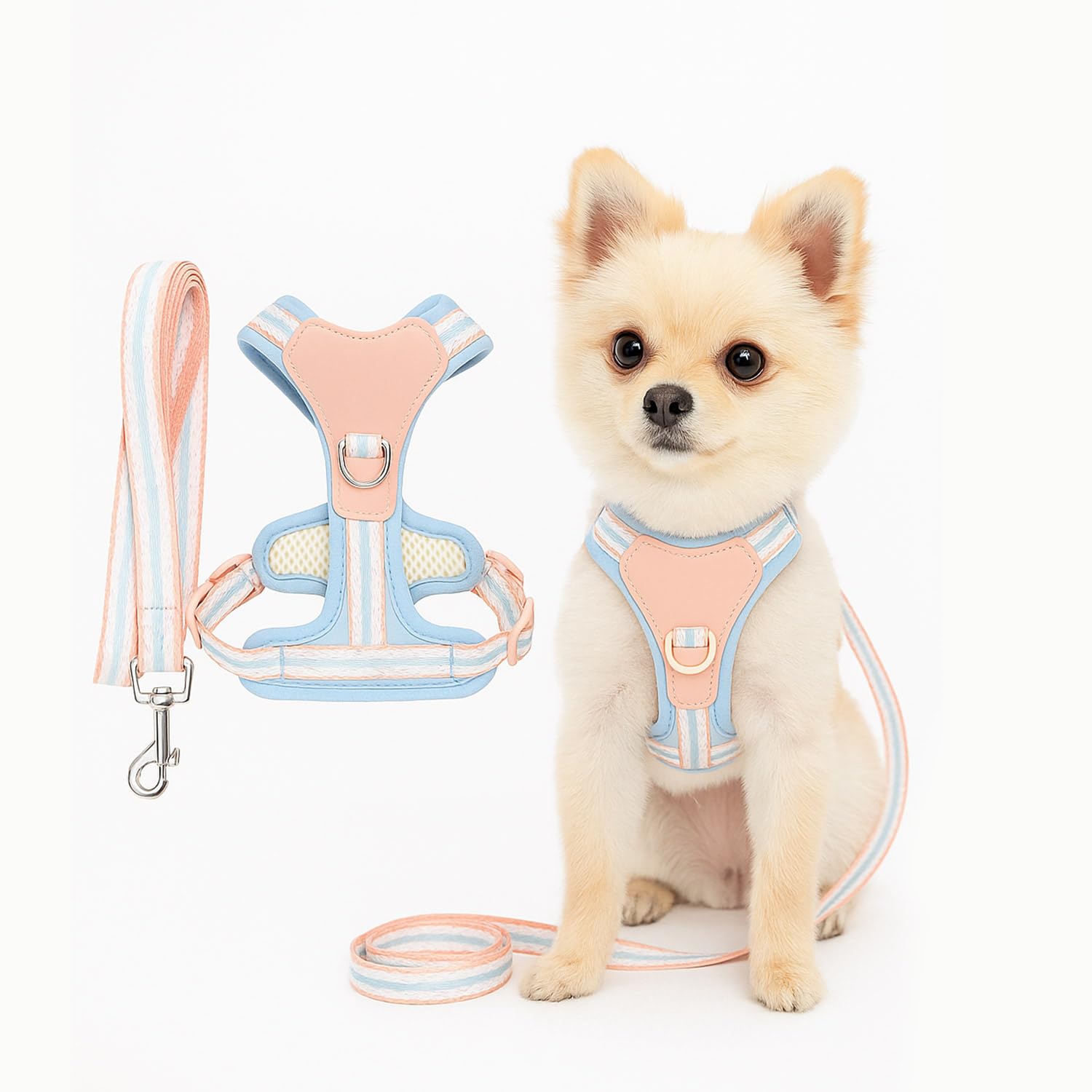 Pastel Dog Harness and Leash Set for Dogs and Cats | Adjustable No-Pull, No-Choke Soft Padded Pet Vest with Matching Leash | Comfortable, Cute and Stylish Walking Harness (Blue)-image-42