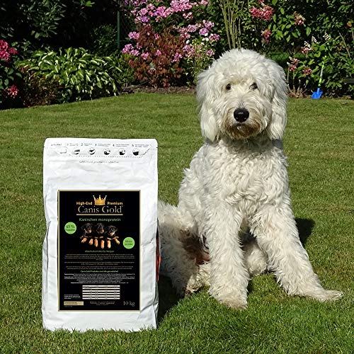 Canis Gold 5 kg Welpen | Junior Kaninchen & Kartoffel | 65% Fleisch | Monoprotein Trockenfutter für alle Hunde Rassen