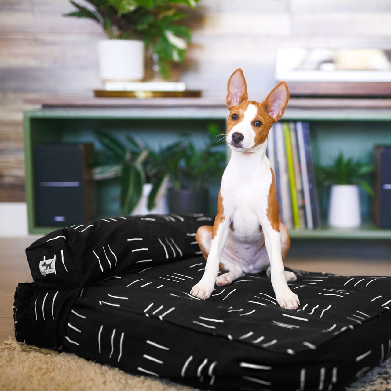 Molly Mutt Funda de Cama para Perro Mediana a Grande – Dreams – Mide 27 x 36 x 5 Pulgadas – 100% algodón – Duradera, Transpirable – sostenible – Funda de Cama para Perro Lavable a máquina