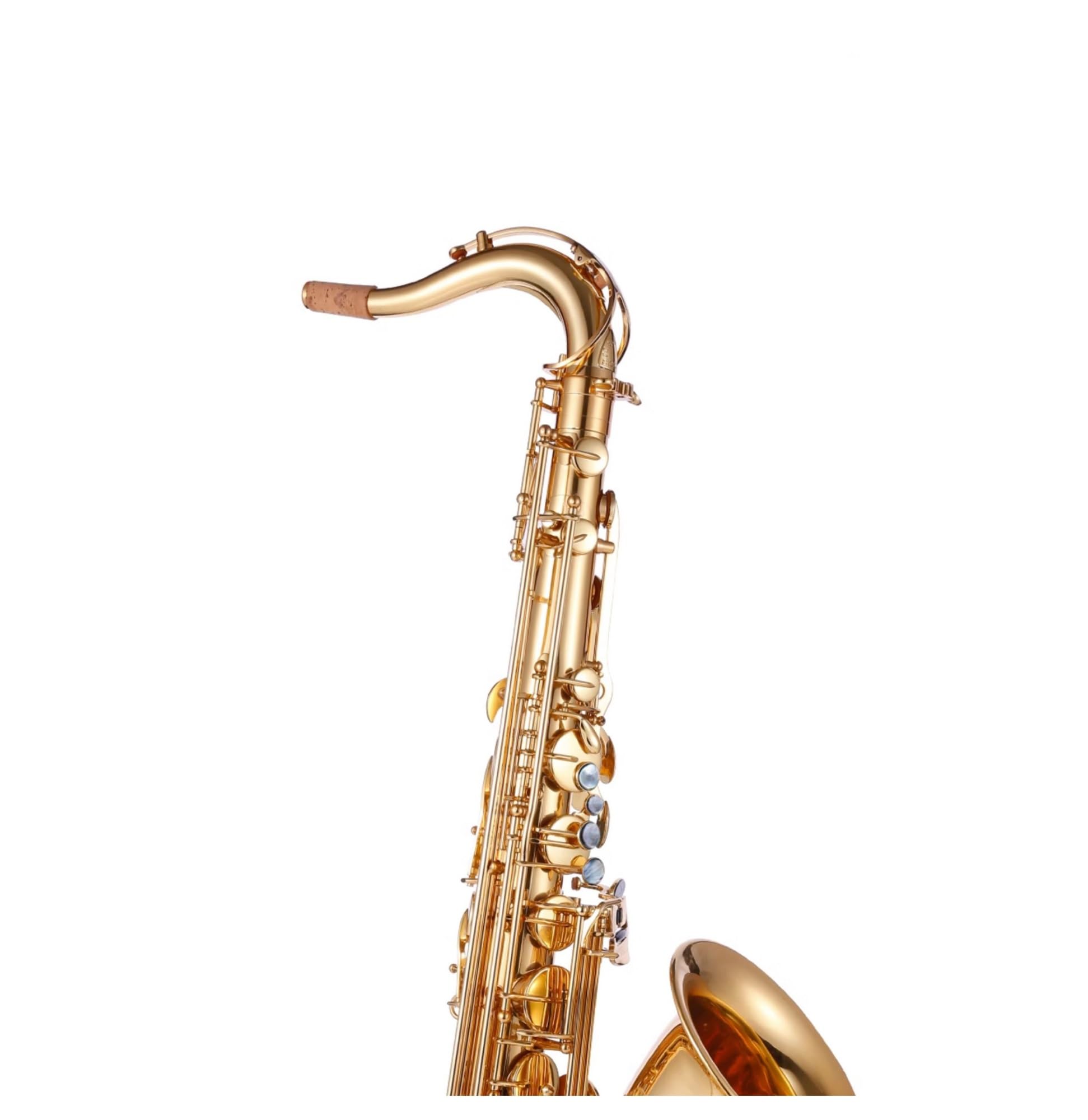 Amazon.co.jp: テナーサックス楽器Bフラットプロフェッショナル 