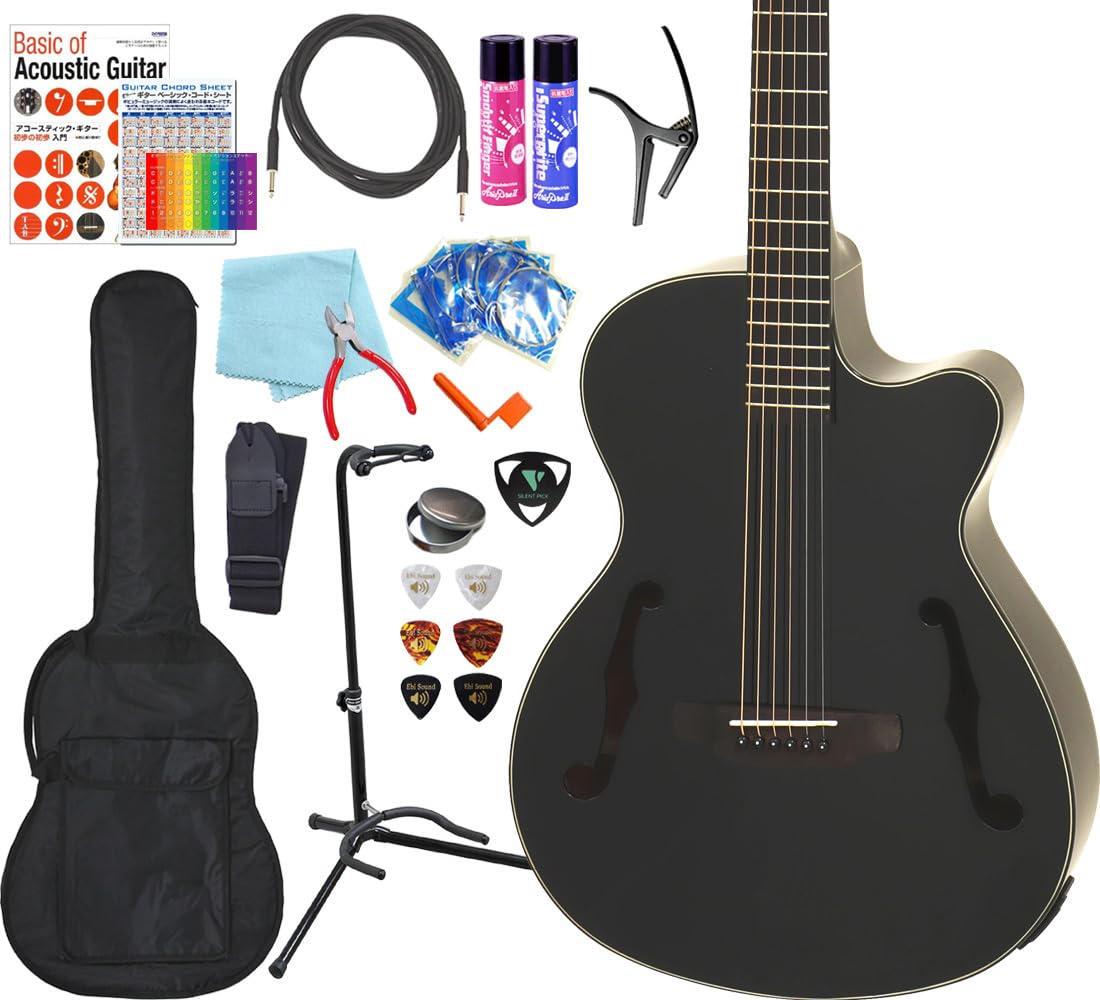 Aria FET-F2　エレアコ 調整済 アリア FET-F2 エレアコ エレクトリックアコースティック