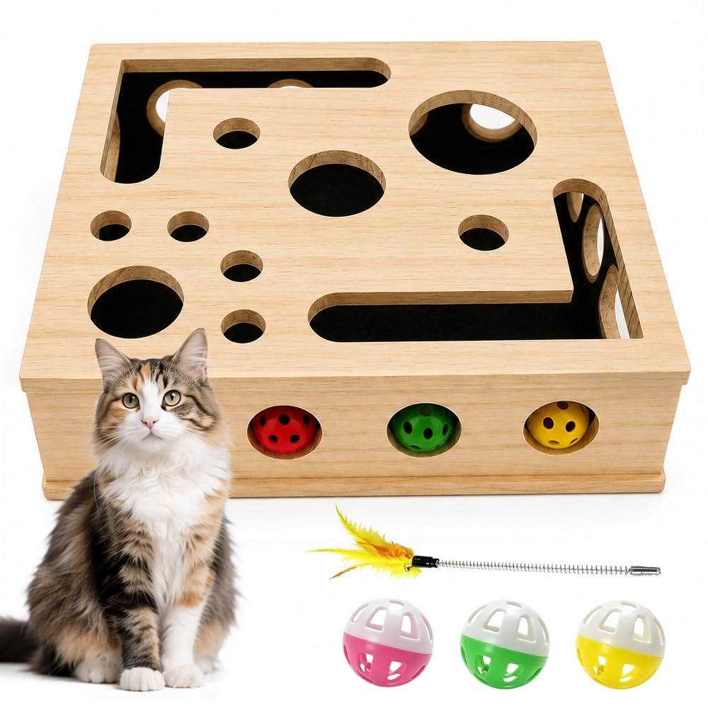 Boîte à lime à ongles pour chat : la solution anti-griffures pour vos canapés