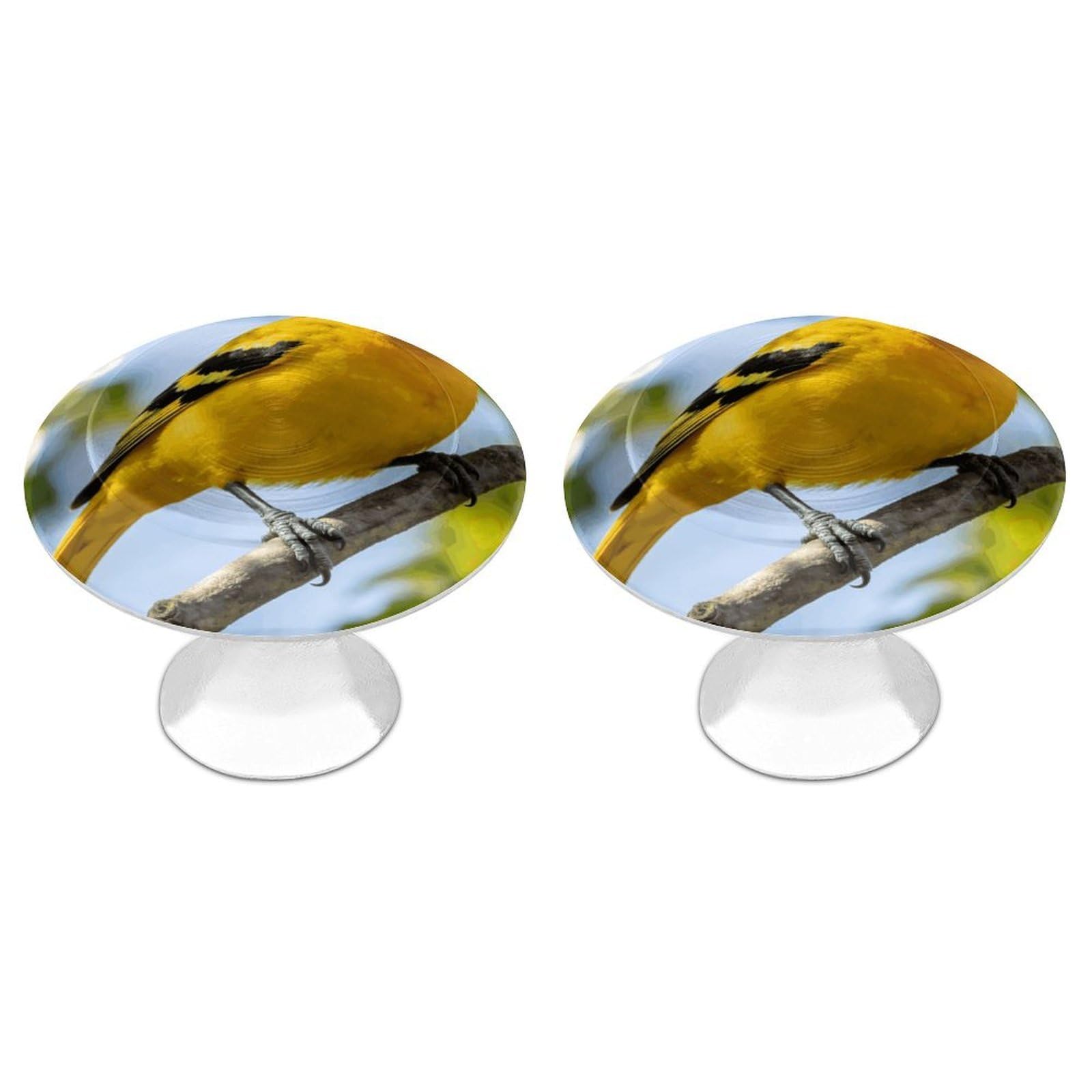 Vstadank Style Oriole Cabinet Knob 2 Pack Round Drawer Pull Kitchen Cabinet Hardware Stainless Steel Dresser Drawer Knob Simple Cabinet Pull For Dresser Closet Door Knobs Cupboard