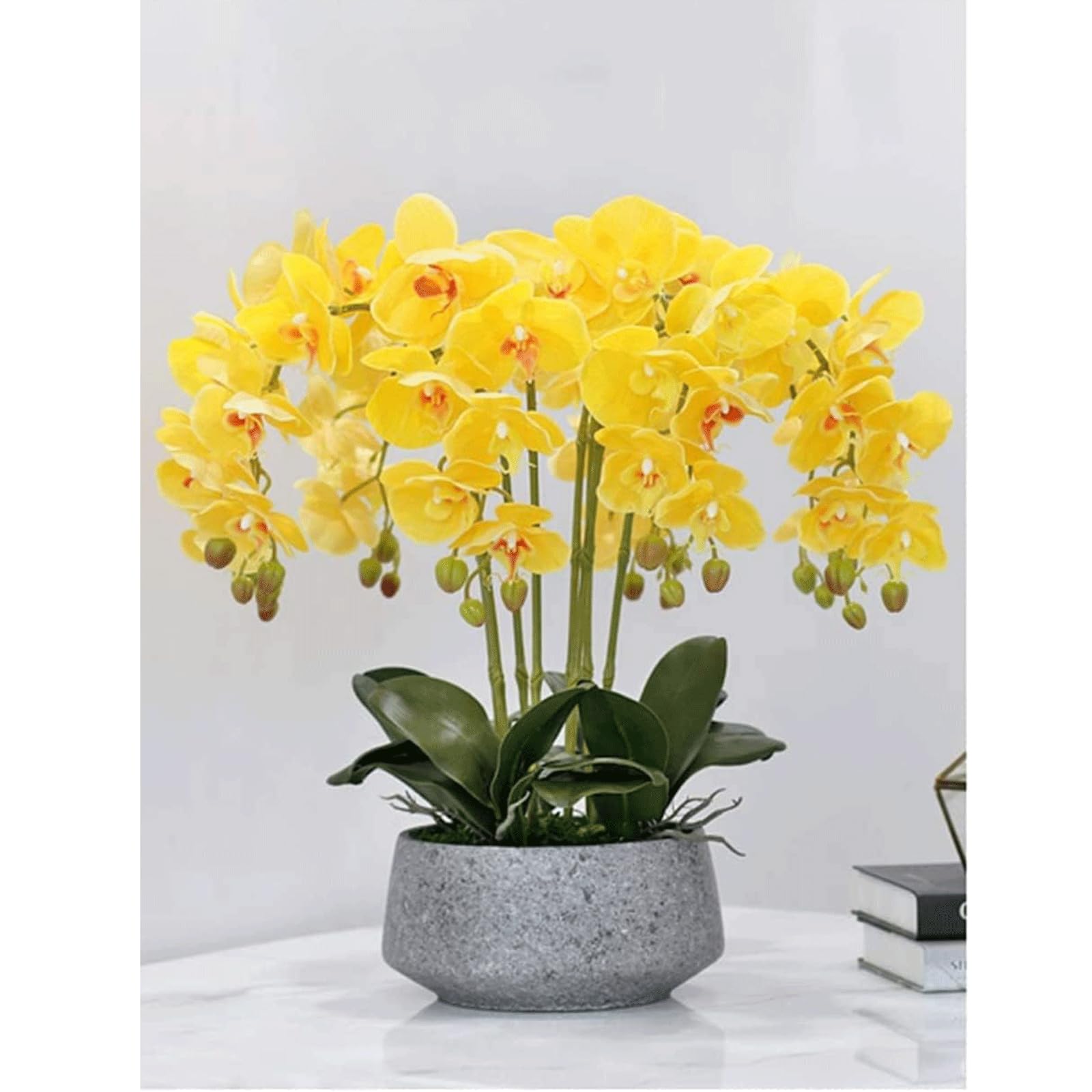 DFGHNBVC Artificial Orchid Artificial Flower With Porcelain Vase Set Faux Orchids 55Cm Artificial Phalaenopsis Flowers Polyurethane Artificial Orchid Very Natural.Yellow