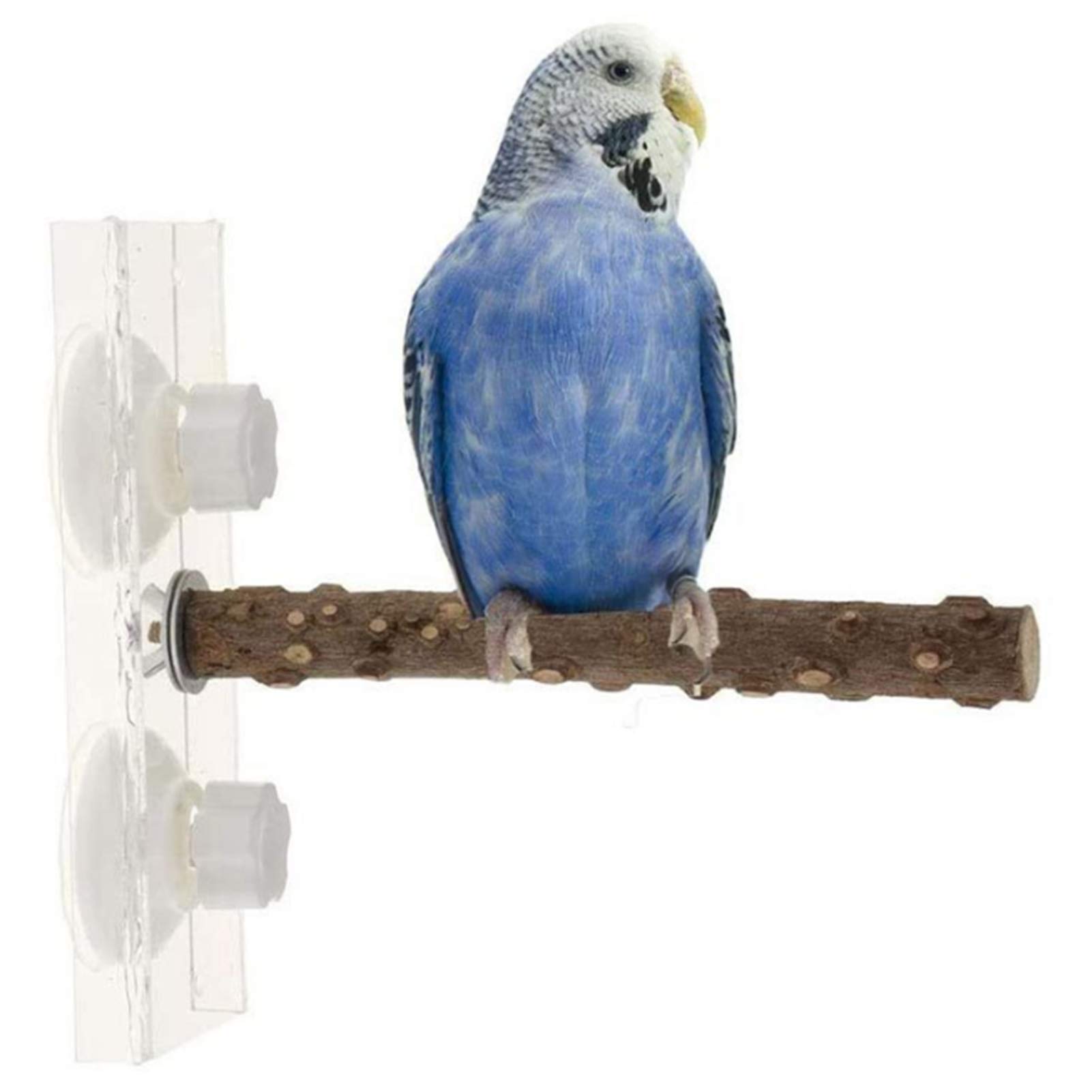 8/11 限定 セール バードスタンド 止まり木 高さ調整機能付 インコ