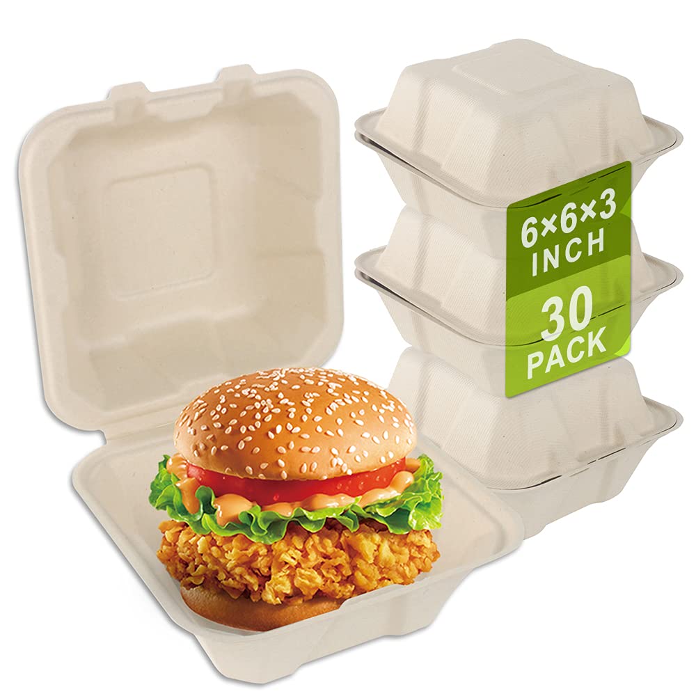 Buy BangShou 30Pack 100 Compostable Flip Top Takeaway Food Container