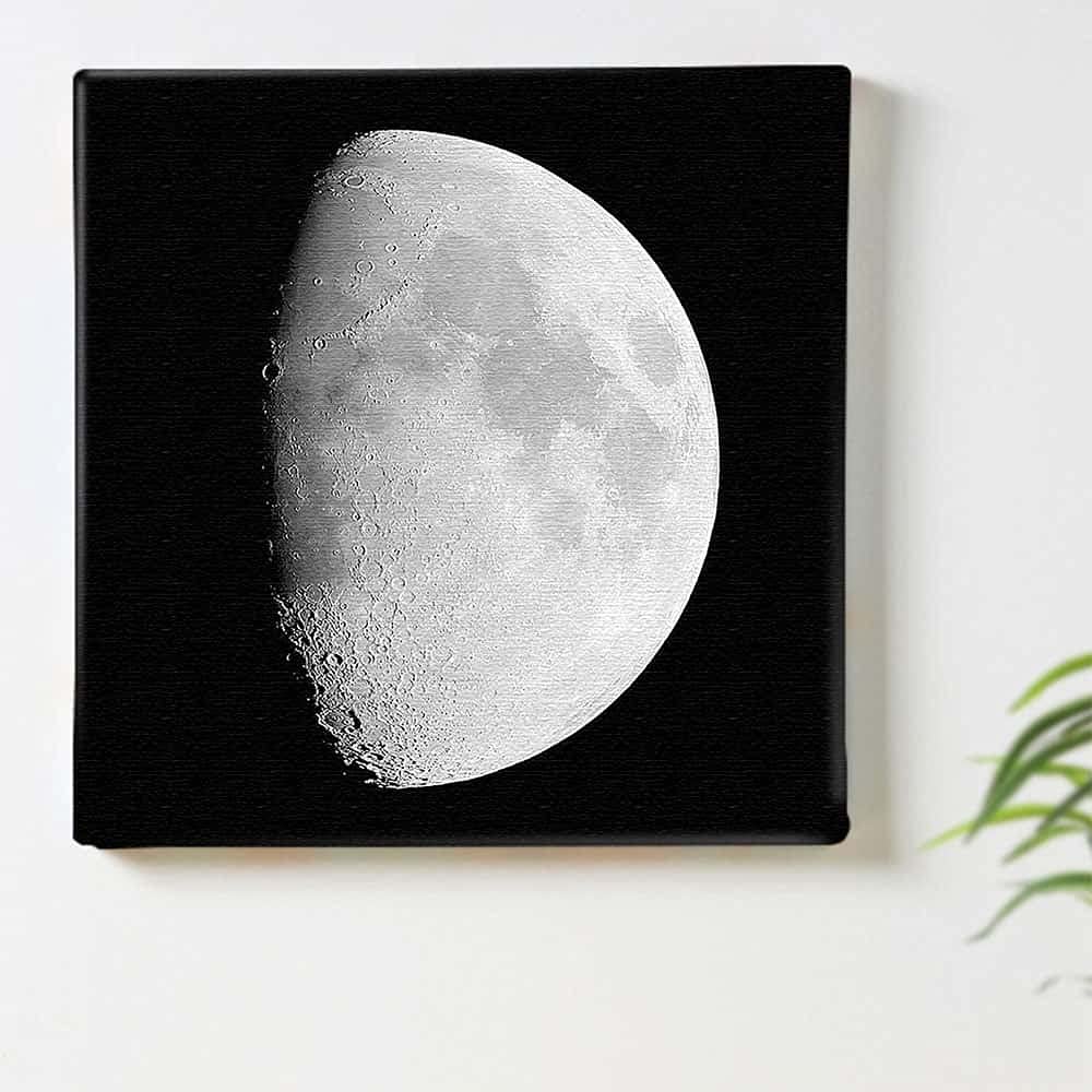 Amazon.co.jp: 月 モノクロ アートパネル 57cm × 57cm Lサイズ 日本製
