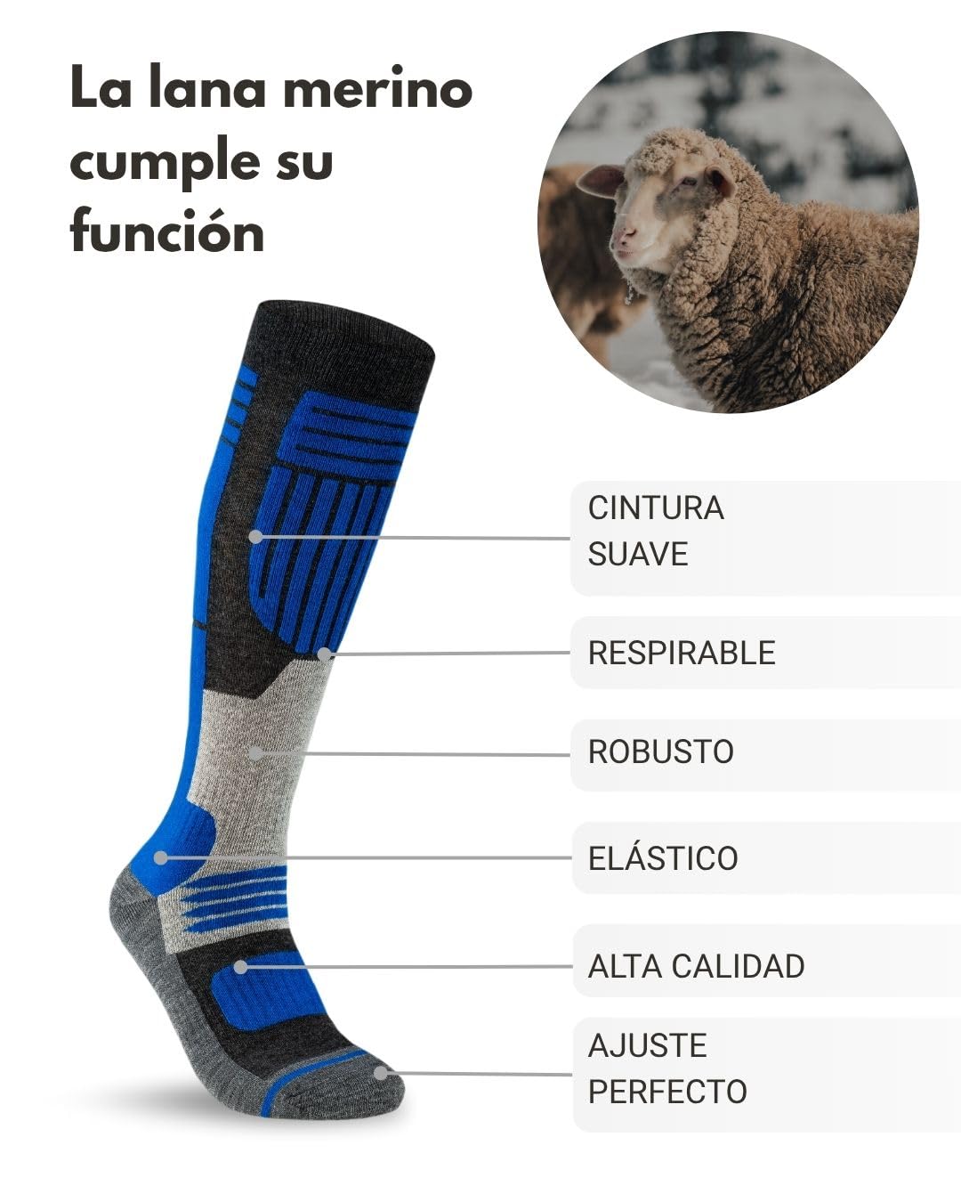 sockenkauf24 2 Pares Calcetines Esquí para Hombre Lana Merino