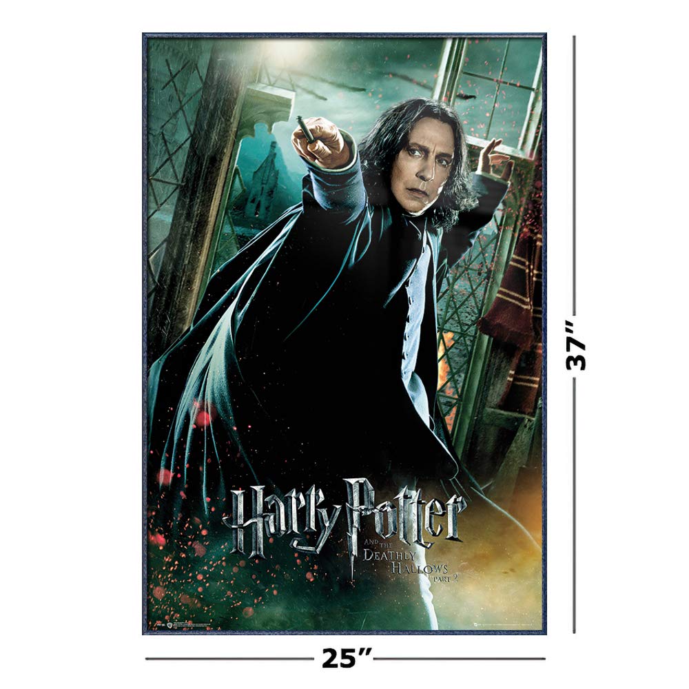 Amazon.co.jp: ハリー・ポッターと死の秘宝 – 映画ポスター/印刷(教授