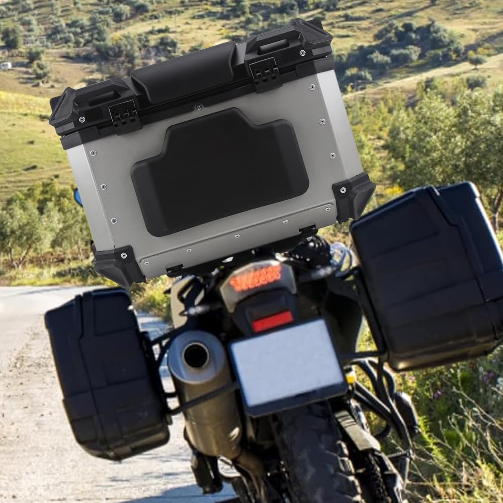 Jadeshay Dossier Top Case Moto, Coussin de Top Case, Dossier de Moto du Passager Universel Coussin de Dossier de Moto Auto-adhésif pour Moto et Trottinette (Ordinary Style)
