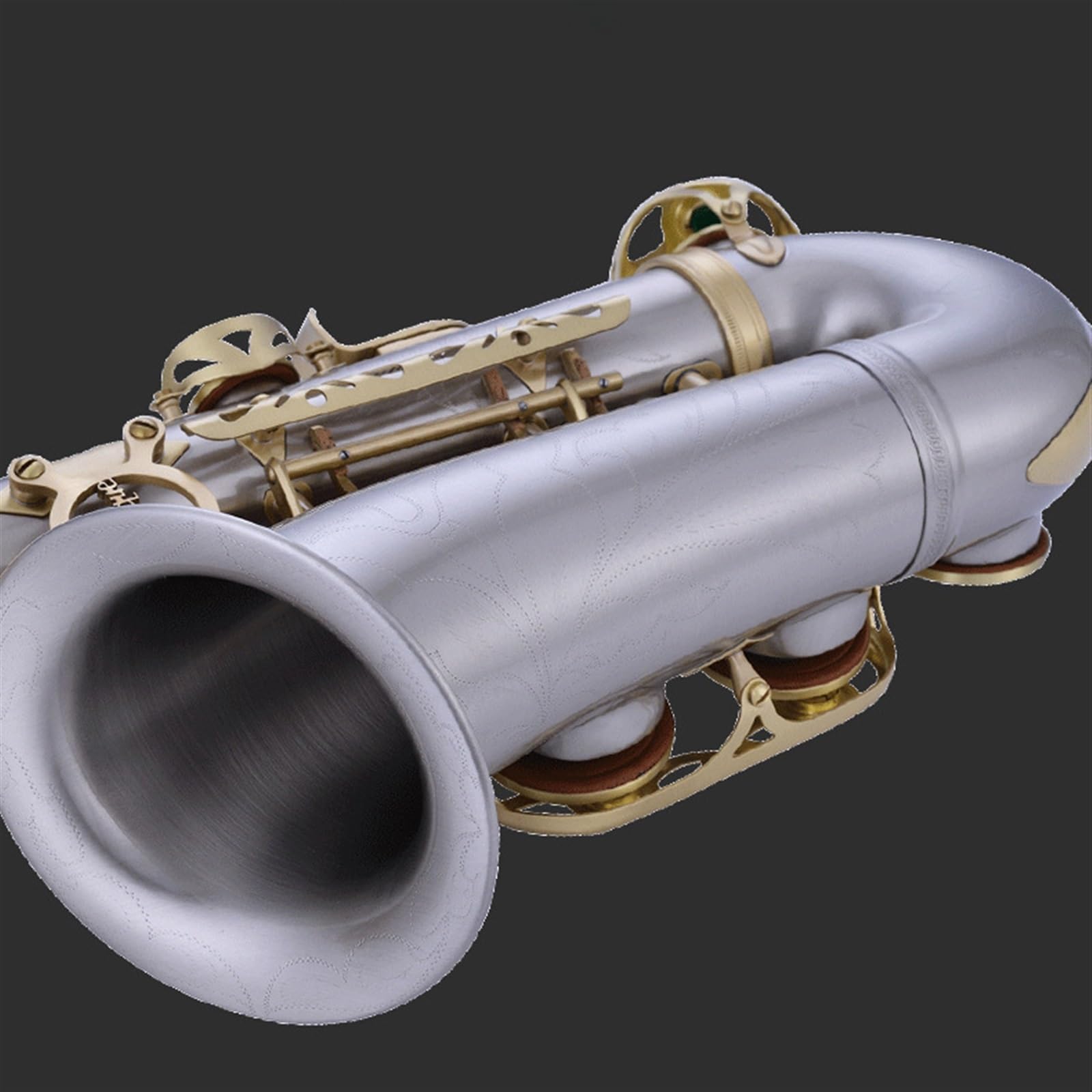 Saxofón Alto En Mi Bemol Para Principiantes En Instrumentos De Viento. Examen De Interpretación Y Calificación Profesional