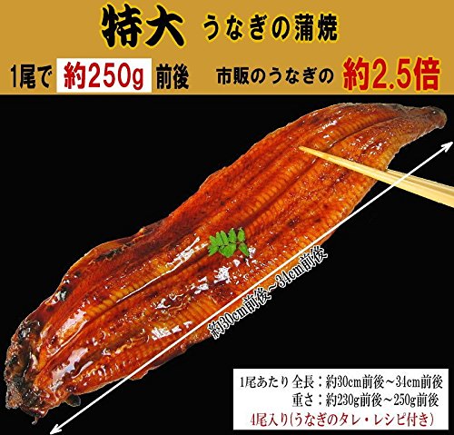 おのみち発 北前船の贈り物 国産(宮崎県産・鹿児島県産)炭火焼うなぎ蒲焼 2尾入 特大(1尾約230g前後~250g前後) の商品画像 6