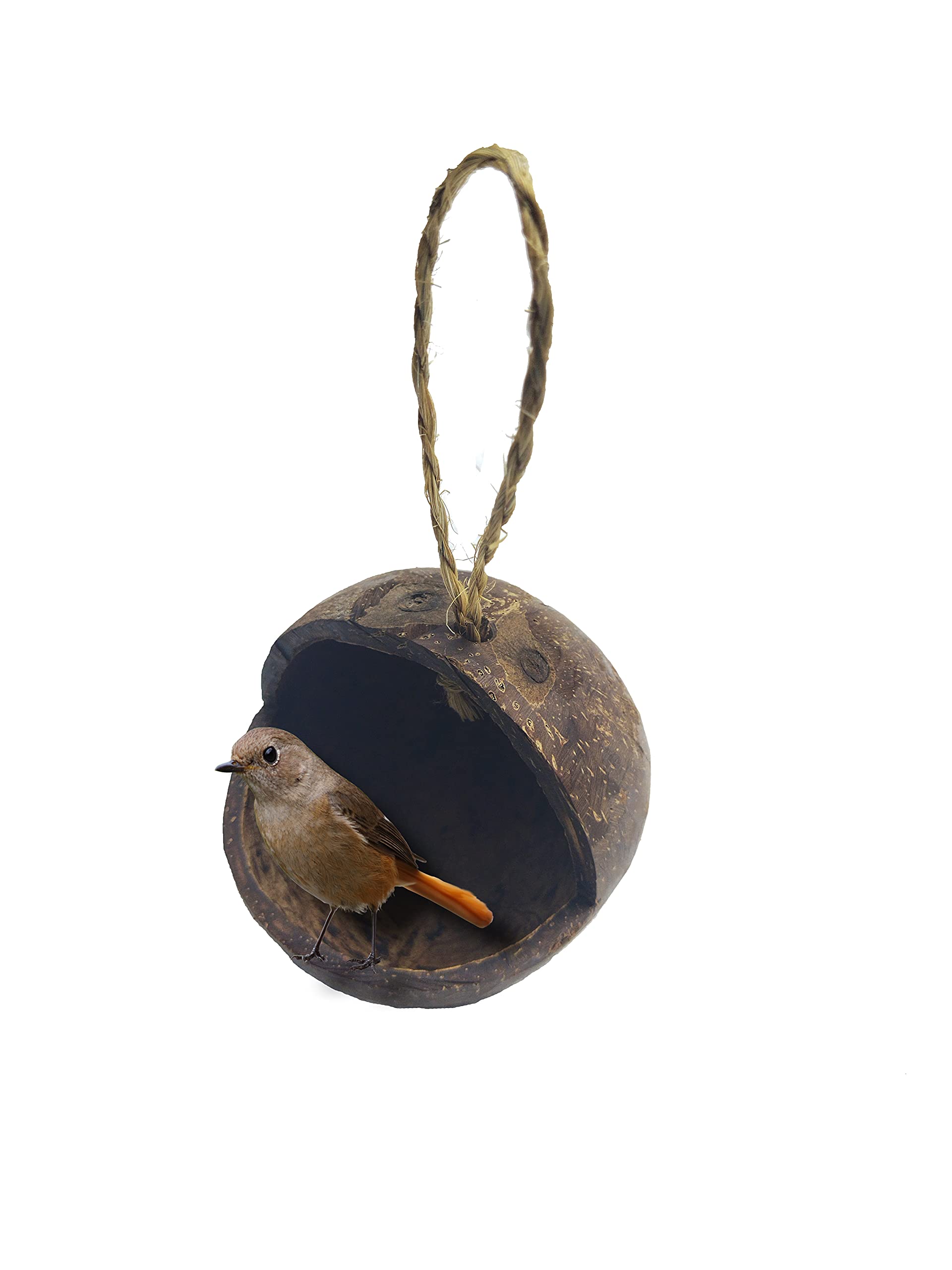 Mats Avenue® Hand Crafted Open Bird Feeder Made of Coconut Shell Smoothened Brown Color Set of 1 (B09H76DHFP) Amazon Price History, Amazon Price Tracker