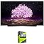 LG OLED77C1PUB 77 Inch 4K Smart OLED TV with AI ThinQ (2021 Model) Bundle with Premium 4 YR CPS Enhanced Protection Pack