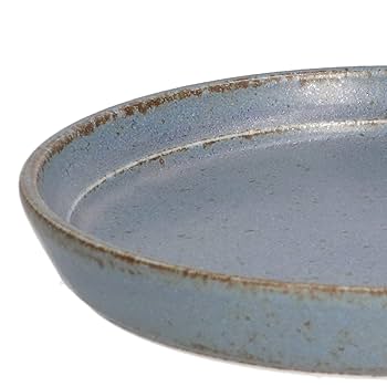 長皿9客 楽天市場】9寸皿の通販