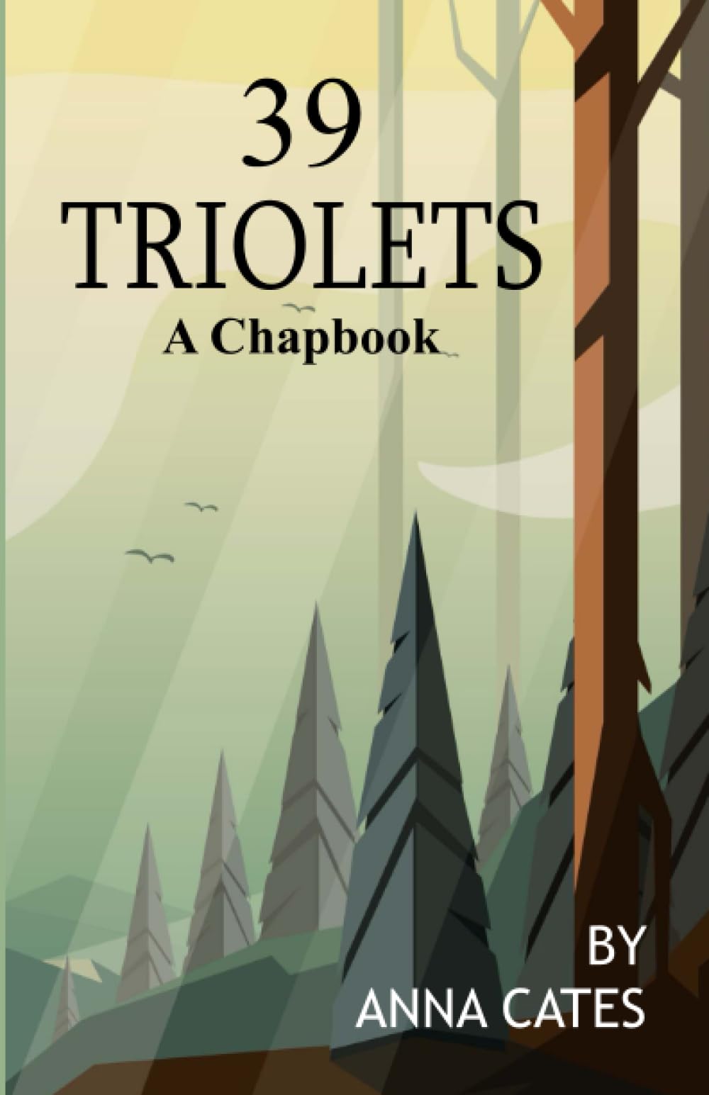 Cover of 39 Triolets