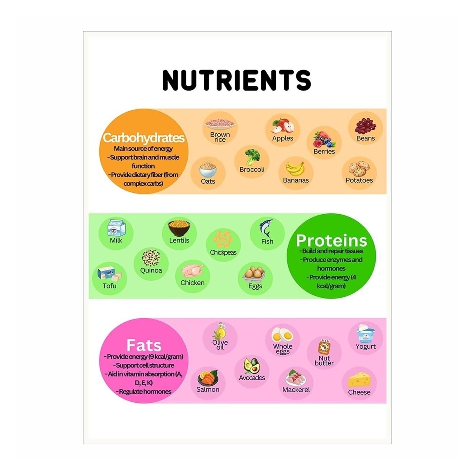 LLBOGRGGN Colorful Nutrition Chart Poster - A Guide to Vitamins, Minerals & Essential Proteins for Healthy Eating(Framed,08x12inch(20x30cm))