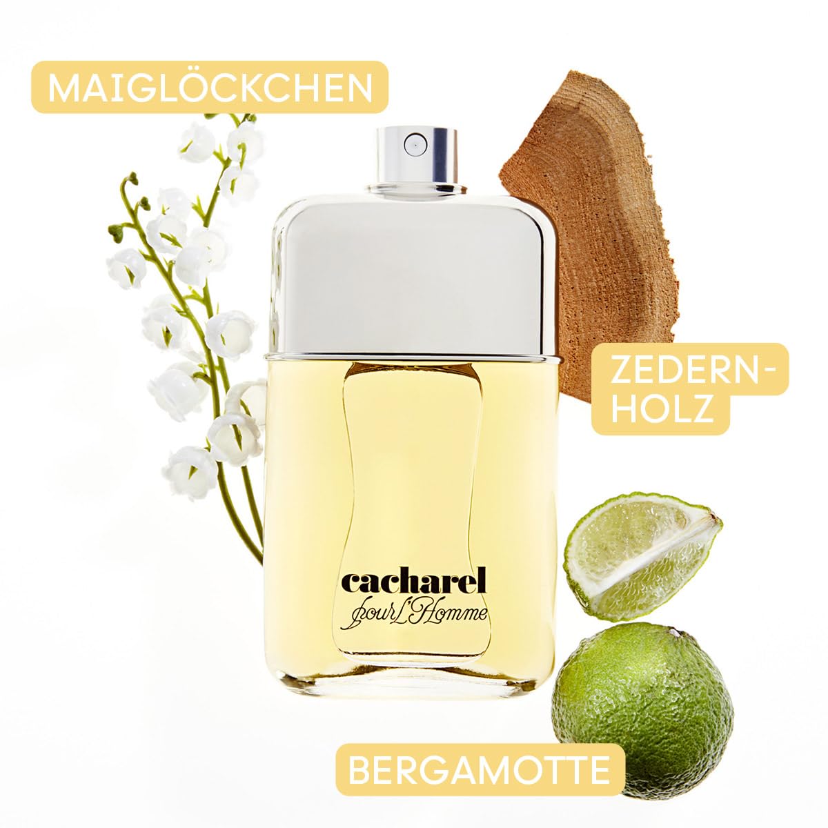 Cacharel Pour L`Homme Parfüm Herren| Eau de Toilette| Männer Parfum| Parfume Men| Herrenparfum| Herren Düfte| Natural Spray| Holziger Duft| 100ml