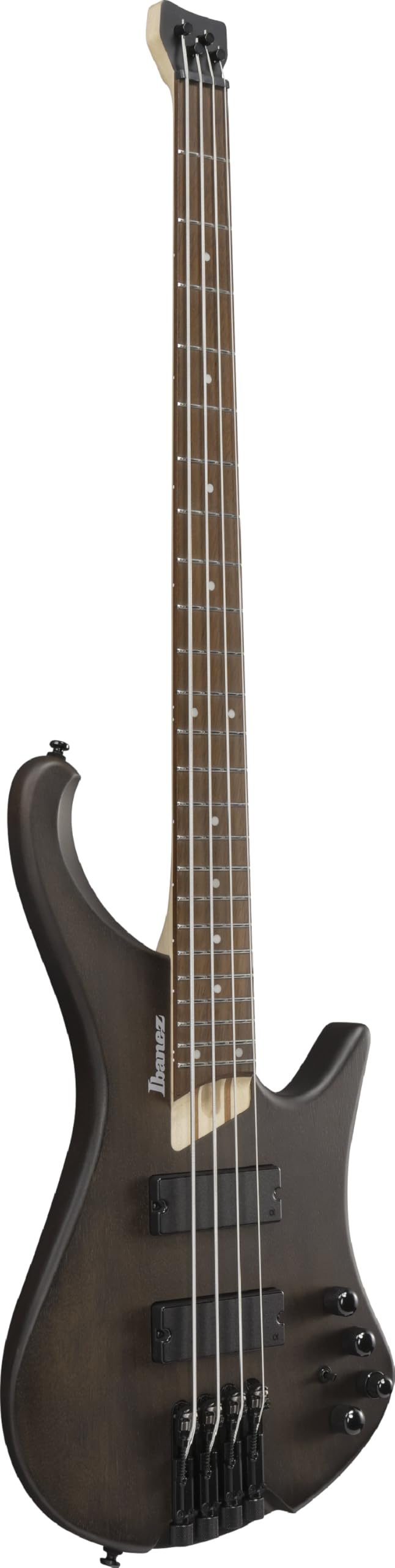 Amazon | Ibanez(アイバニーズ) エレキベース Walnut Flat EHB600-WNF