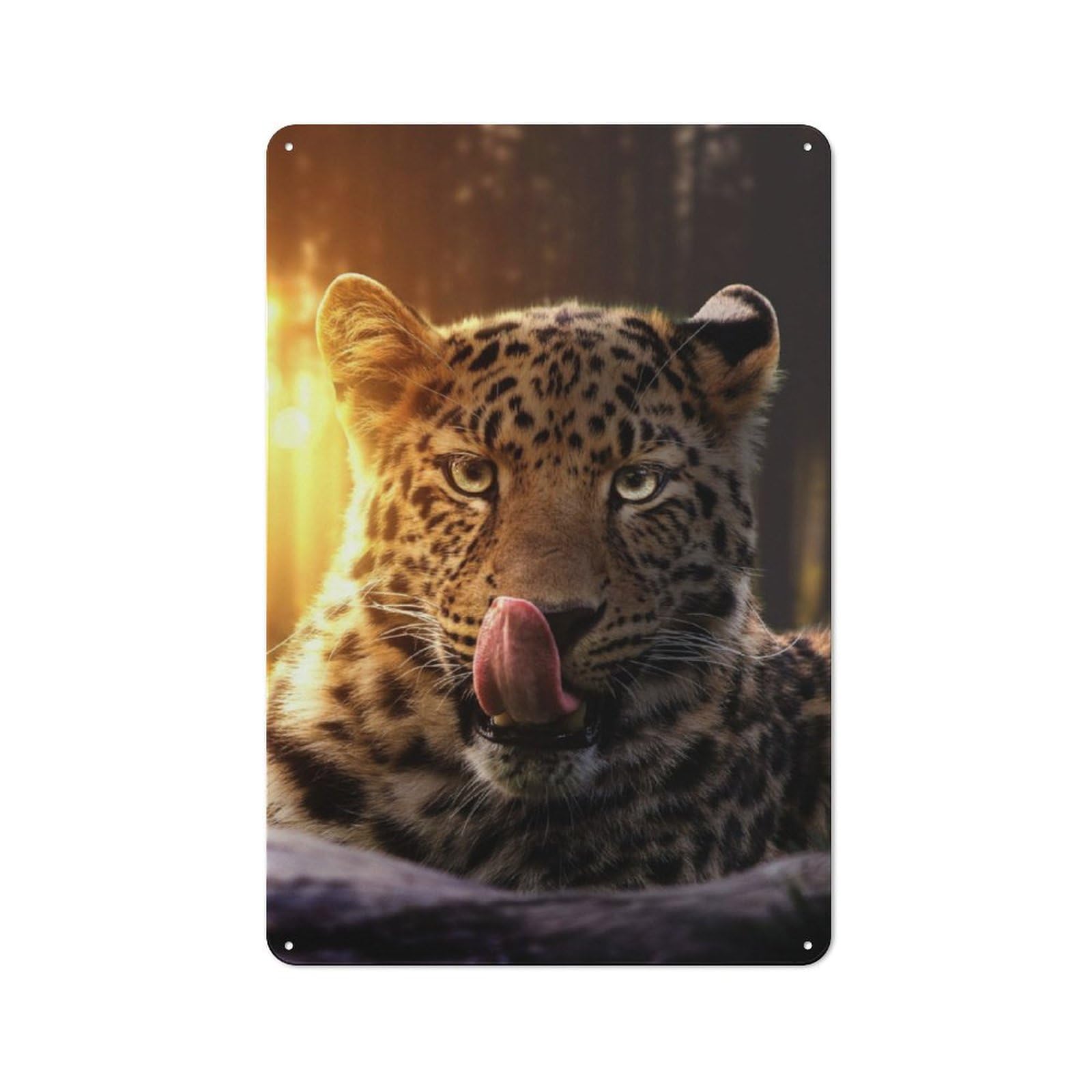 Junmoney The Leopard Cub Retro Metal Wall Sign 30X20cm With For Living Room Wall, Housewarming Wall Decor For People Furnishing Living Room