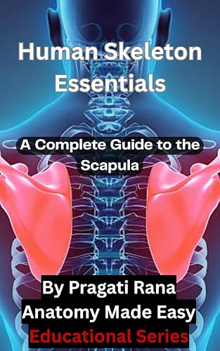 SCAPULA: Flat Bone, Strong Support: Anatomy, Functions & Clinical Insights
