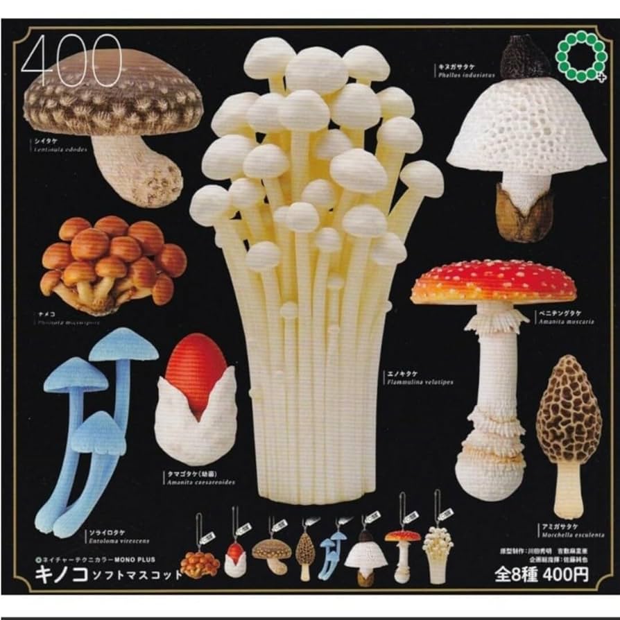 ベニテングタケ　Amanita muscaria キノコ　模型 ベニテングタケ Amanita muscaria キノコ 模型