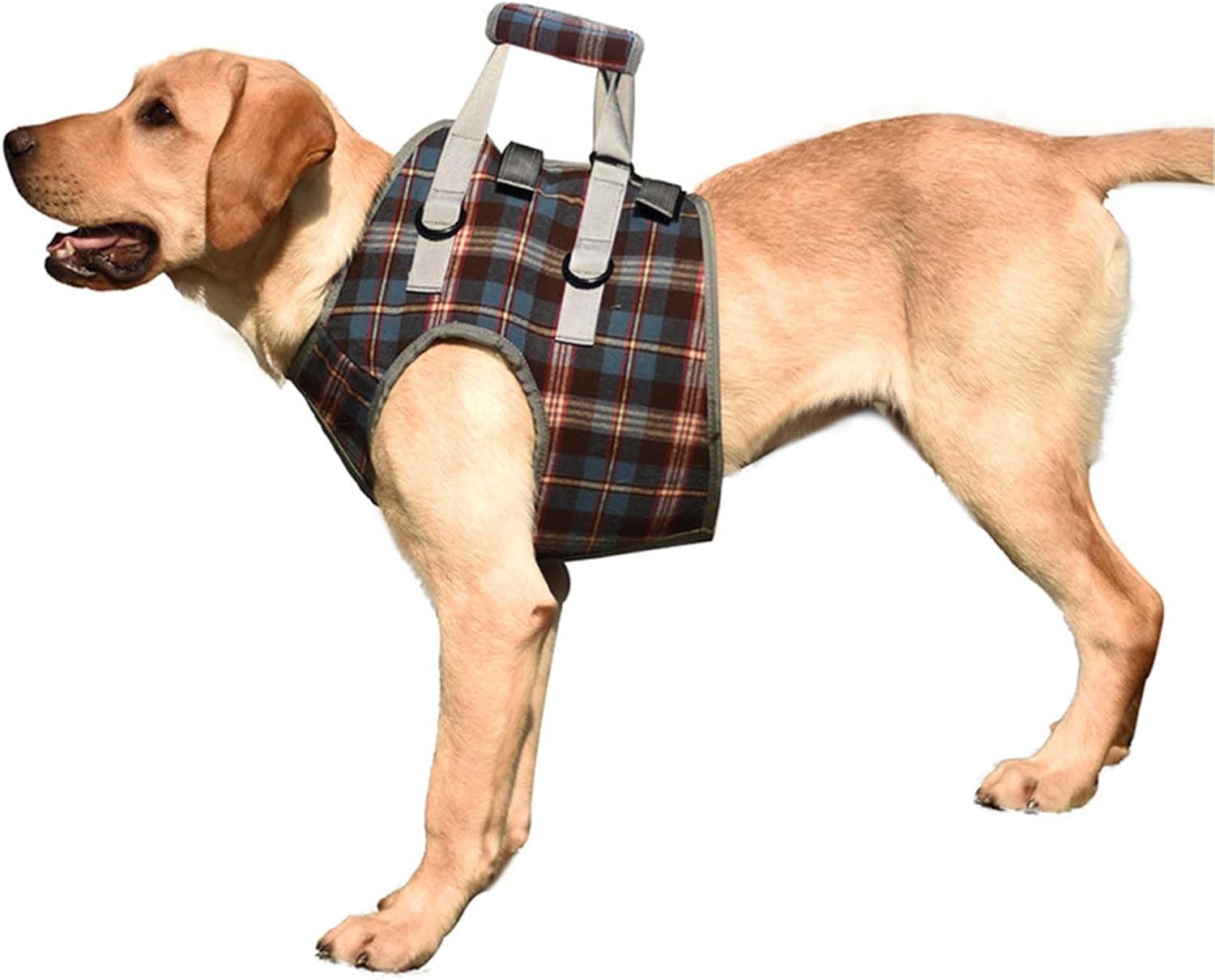 Keksa ayollar va onalar ortasidagi jinsiy aloqa Tojik anal seks porno